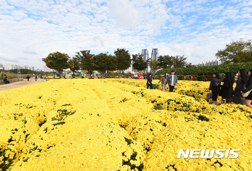 【울산=뉴시스】배병수 기자 = 2017 태화강 가을국향 축제가 27일 울산시 중구 태화강 대공원 일원에서 열리고 있다. 2017.10.27.  bbs@newsis.com.