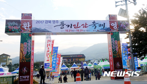 【영주=뉴시스】김정환 기자 = 29일까지 경북 영주시 풍기읍 남원천 둔치에서 열리는 ‘2017 경북 영주시 풍기 인삼 축제’ 행사장 입구.ace@newsis.com