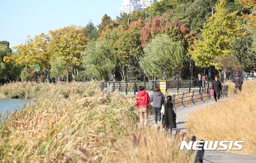 【대구=뉴시스】우종록 기자 = 서늘한 가을 날씨를 보인 지난달 30일 오후 대구시 수성구 수성못에서 시민들이 노랗게 물든 강아지풀 공원길을 걸으며 산책하고 있다. 2017.11.20. <이 사진은 2017년 10월30일자 사진자료임.>wjr@newsis.com