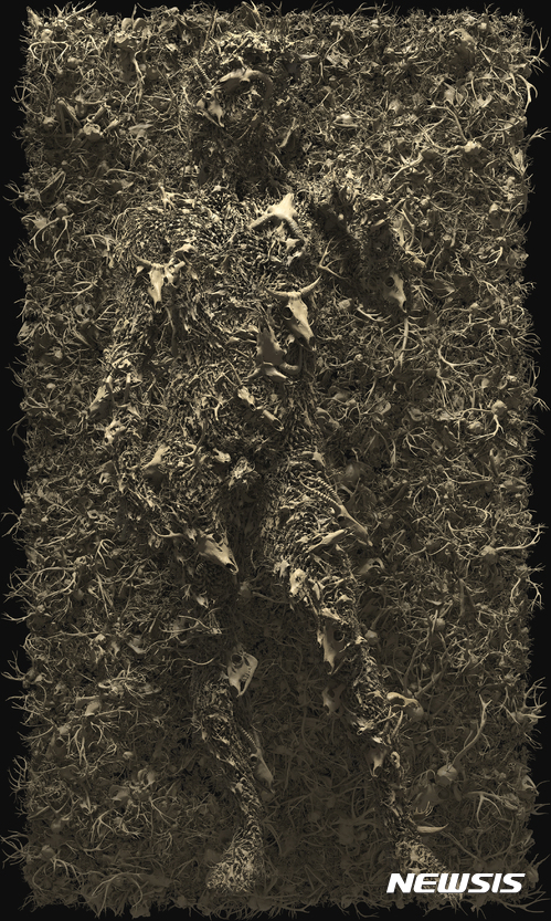 【서울=뉴시스】Dujin Kim_David_2017_3D Digital Painting_300x180cm