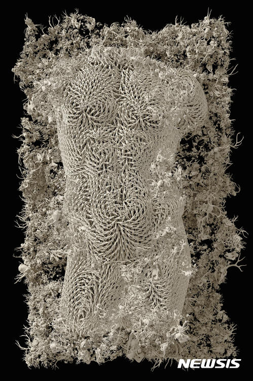 【서울=뉴시스】Dujin Kim_Torso 1_2016~2017_3D Digital Painting_165x110cm_Ed.5+Ap.2