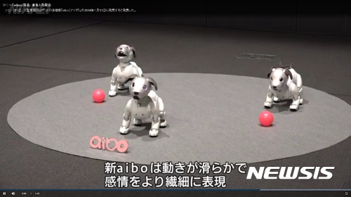 【서울=뉴시스】 일본 전자기기 업체 소니는 1일 도쿄(東京)에서 발표회를 열고 신형 애완견 로봇 아이보(aibo·사진)를 공개했다. 아이보는 내년 1월 11일 출시된다.(사진출처: 니혼게이자이신문 캡쳐) 2017.11.01.