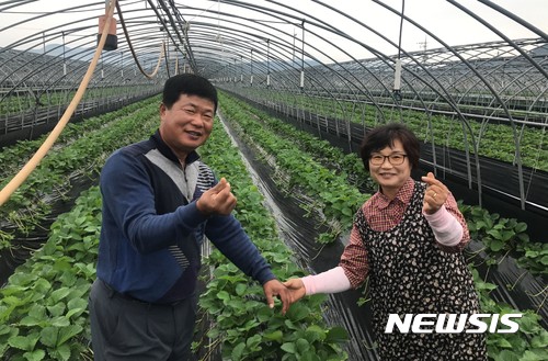 【창원=뉴시스】 홍정명 기자 = 1일 농협중앙회가 선발·시상하는 11월 ‘이달의 새농민상’ 수상자로 선정된 경남 하동옥종농협 조합원인 하정호(59)·송미자(58) 부부.2017.11.01.(사진=경남농협 제공) photo@newsis.com