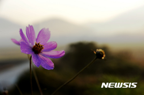 충북, 대체로 흐리고 오전 빗방울…한낮 21~23도