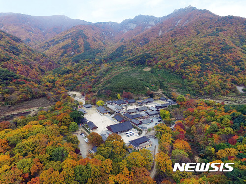 【밀양=뉴시스】안지율 기자 = 8일 경남 밀양시 단장면 재약산 자락의 표충사 인근에 울긋불긋 물든 아름다운 가을 풍경이 한 폭의 수채화처럼 자리 잡고 등산객들의 발길을 기다리고 있다. 2017.11.08. (사진=밀양시청 제공) photo@newsis.com