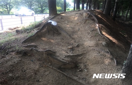 【전주=뉴시스】윤난슬 기자 = 전주시 완산구가 더 많은 시민들이 이용할 수 있도록 강변 산책로 정비에 나선다. 2017.11.14.(사진=완산구 제공) photo@newsis.com