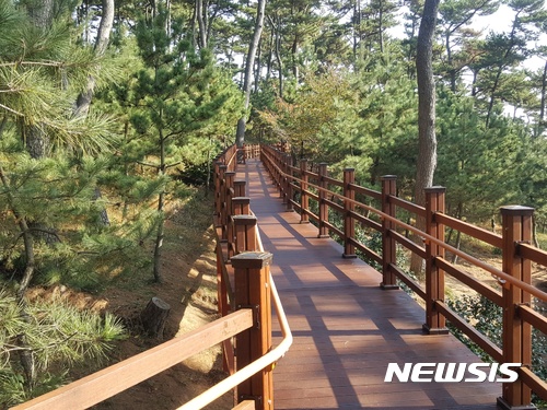 【울산=뉴시스】박일호 기자 = 울산시 동구는 대왕암공원 내 울기등대 입구에서 해맞이광장까지 600m 구간의 산책로에 추진하고 있는 무장애 나눔길 조성사업이 이달 말 준공된다고 14일 밝혔다. 사진은 현재 조성된 데크로드. 2017.11.14. (사진=울산 동구 제공) photo@newsis.com