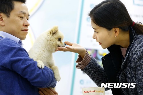【서울=뉴시스】 14일 전라북도 전주시 농촌진흥청 농업과학관 2층 특별전시실에서 열린 '나의 반쪽, 반려동물' 특별전에서 관계자들이 강아지의 상태를 살펴보고 있다.&nbsp; 반려동물 산업 활성화에 보탬이 되기 위해 마련된 이번 행사는 오는 19일까지 진행된다. 2017.11.14. (사진=농촌진흥청 제공)&nbsp; photo@newsis.com