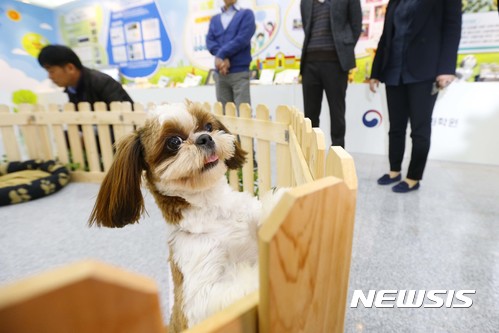 반려동물 자료사진. (뉴시스DB)