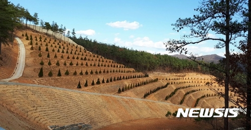 【보령=뉴시스】 보령시 공설수목장림 전경.