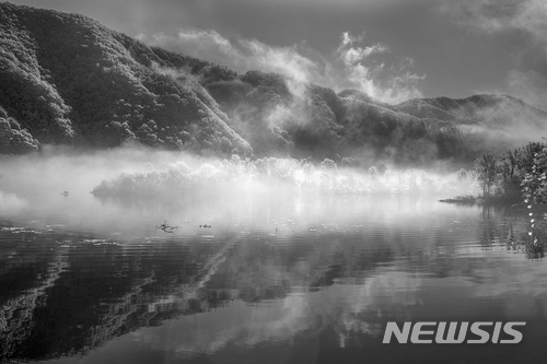 【서울=뉴시스】조수정 기자 = 김필호 作 환생 幻生 120cmX80cm.(사진=김필호 사진가 제공. 사진은 이 기사 외 사용을 불허합니다) photo@newsis.com