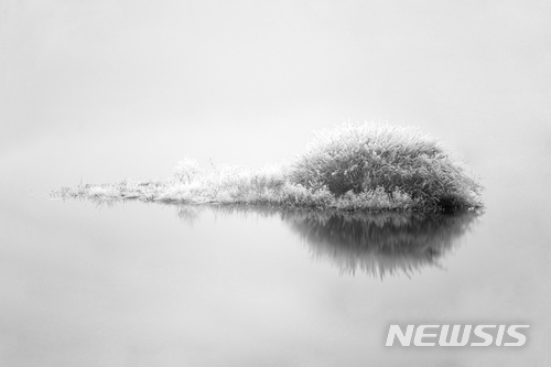 【서울=뉴시스】조수정 기자 = 김필호 作 호반 湖畔 100cmX66cm.(사진=김필호 사진가 제공. 사진은 이 기사 외 사용을 불허합니다) photo@newsis.com