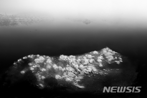 【서울=뉴시스】조수정 기자 = 김필호 作 수호 守護 150cmX100cm.(사진=김필호 사진가 제공. 사진은 이 기사 외 사용을 불허합니다) photo@newsis.com