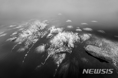 【서울=뉴시스】조수정 기자 = 김필호 作 생 生 I 100cmX66cm.(사진=김필호 사진가 제공. 사진은 이 기사 외 사용을 불허합니다) photo@newsis.com