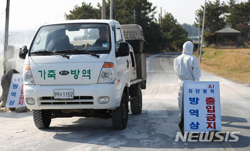【제주=뉴시스】우장호 기자 = 제주 철새도래지 야생조류 분변에서 검출된 H5형 조류인플루엔자(AI) 바이러스가 중간검사 결과 고병원성으로 추정됨에 따라 27일 제주시 구좌읍 하도리 철새도래지 인근 주변 길목에 긴급 방역이 실시되고 있다. 2017.11.27. woo1223@newsis.com
