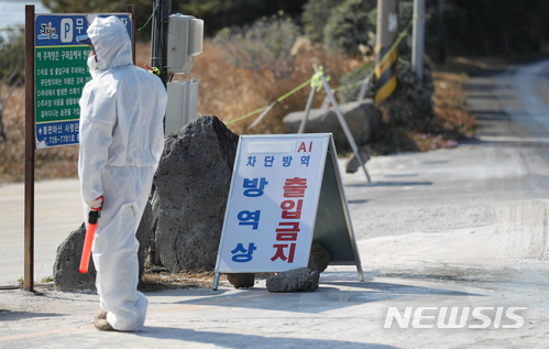 [제주=뉴시스] 우장호 기자 = 제주시 구좌읍 하도리 철새도래지 인근 주변 길목에 방역요원이 나와 출입을 통제하고 있다. (사진=뉴시스DB) woo1223@newsis.com