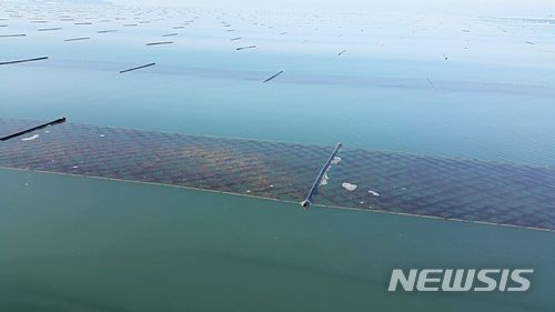 【서천=뉴시스】 서천 김 양식장.