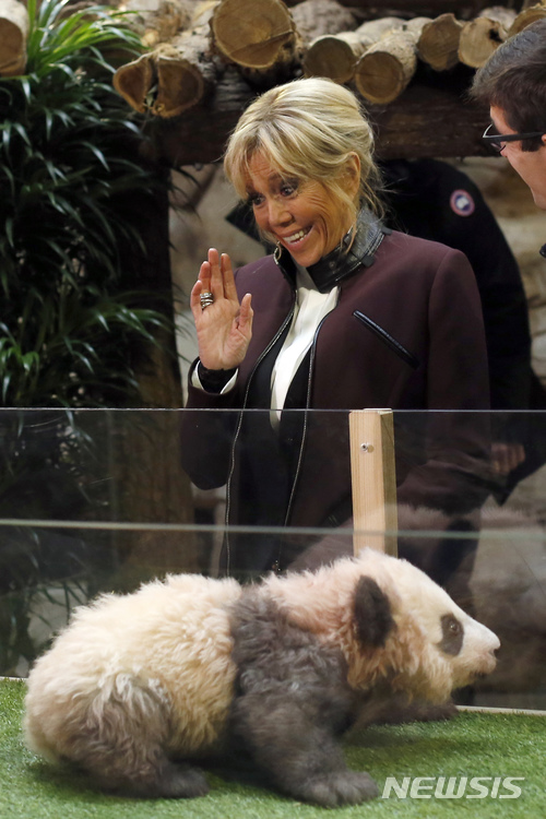 【생테냥쉬르셰르=AP/뉴시스】 ﻿﻿에마뉘엘 마크롱 프랑스 대통령이 중국을 국빈 방문 중인 가운데, 중국이 오는 2027년 프랑스에 암수컷 판다 한 쌍을 추가로 보낼 예정이라고 밝혔다. 사진은 에마뉘엘 마크롱 프랑스 대통령의 부인 브리지트 여사가 2017년 보발 동물원에서 생후 4개월 된 아기 판다를 향해 손을 흔드는 모습. 2025.12.05