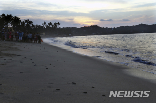 【사율리타(멕시코) = AP/뉴시스】 = 멕시코의 환경 단체 "붉은 거북"이 2일(현지시간) 거북의 산란지인 사율리타 해변에서 그동안 알을 보호하고 부화시킨 바다거북 새끼들이 바다로 돌아가는 것을 지켜보고 있다.&nbsp;&nbsp; 