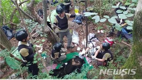 지리산반달곰, 자연번식으로 손자 봤다…복원사업 13년만