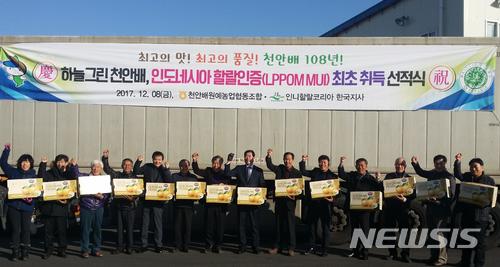  【천안=뉴시스】이종익 기자 = 충남 천안시는 천안배원예농협이 지난 11월 인도네시아 할랄(Halal) 인증기관인 리폼 무이(LPPOM MUI)로부터 한국배 최초로 공식 인증서를 취득한데 이어, 30t(5000만 원 상당)의 하늘그린 천안배가 8일 수출을 위해 첫 선적됐다고 11일 밝혔다. 2017.12.11. (사진=천안시 제공) photo@newsis.com