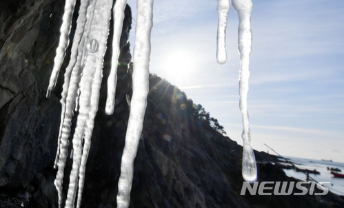 【부산=뉴시스】 하경민 기자 = 부산지역 아침 최저기온이 영하 6.1도를 기록하며 올 겨울 들어 가장 추운 날씨를 보인 12일 오전 부산 남구의 한 해안가 갯바위에 고드름이 얼어 있다. 2017.12.12. yulnetphoto@newsis.com
