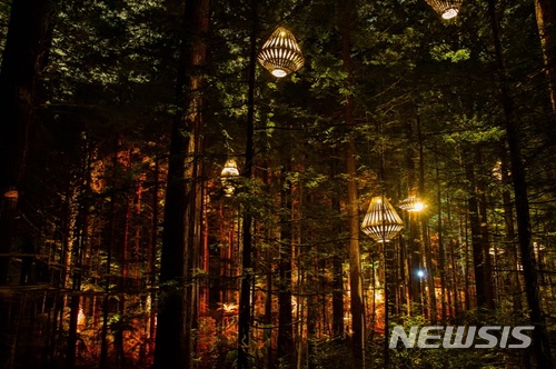 【서울=뉴시스】 레드우즈 나이트라이츠. 2017.12.15. (사진= Redwoods Treewalk 제공) photo@newsis.com 