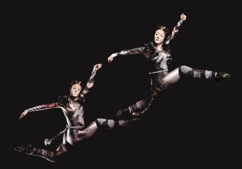 【서울=뉴시스】 뮤지컬 '캣츠'. 2017.12.19. (사진 = 클립서비스 제공) photo@newsis.com 