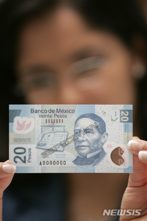 [멕시코시티= AP/뉴시스] 멕시코 중앙은행은 27일(현지시각) 기준금리를 11.00%로 2회 연속 동결했다. 사진은 멕시코 통화 페소. 2024.06.28 