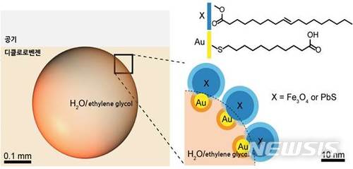 【대전=뉴시스】 나노입자로 만든 계면활성제에 둘러싸인 액체방울(사진 왼쪽)과 이를 확대한 모습(오른쪽). 연구진은 금(Au)에 친수성 분자를 붙인 친수성 나노입자(노랑)와 산화철(Fe3O4) 혹은 황화납(PbS)에 소수성 분자를 붙인 소수성 나노입자(파랑)를 결합했다. 