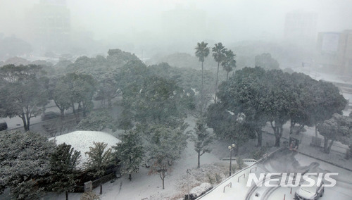【제주=뉴시스】강정만 기자 = 11일 아침 폭설이 내리고 있는 제주시 연동 시가지. 제주도청 인근 시가지가 내리는 눈으로 온통 희뿌였다. 2018.01.11 kjm@newsis.com