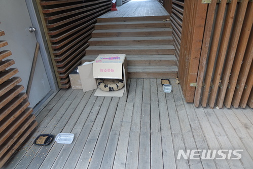 【서울=뉴시스】 강민성 기자 = 서울어린이대공원 안내소 화장실 옆에 가면 고양이들의 쉴 수 있는 쉼터가 있다. 안내소 직원들은 당번을 정해 먹을 것과 마실 물을 매일 갈아준다. 2018.01.11.&nbsp; kms6510@newsis.com
