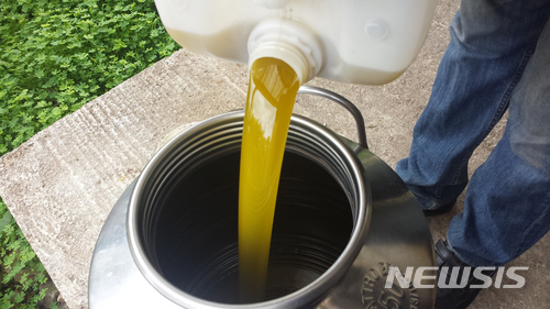 [서울=AP/뉴시스] 유럽연합(EU)집행위원회가 스페인, 이탈리아 등 EU 국가들의 올리브유 생산량이 지난해 40% 감소했는데 올해는 그보다 아주 미미한 수준만 회복될 것이라고 밝혔다고 22일(현지시간) 미국 뉴욕타임스(NYT)가 보도했다. 사진은 2017년 11월12일 이탈리아 마도니 산맥의 마을 카스텔부오노에서 갓 만들어진 올리브유를 용기에 붓는 모습. 2023.10.23.