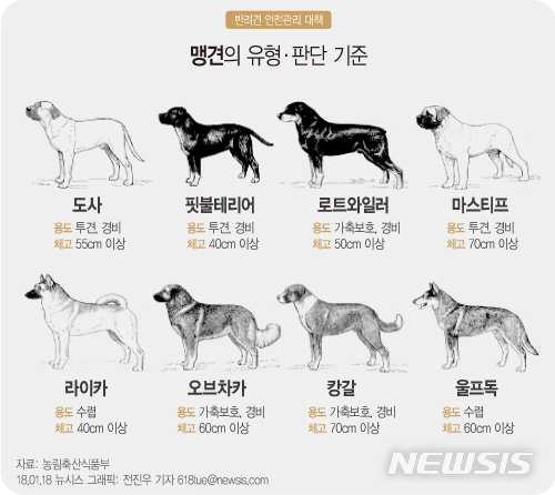 【서울=뉴시스】맹견 유형 및 판단 기준. 자료=농림축산식품부