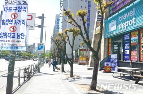 【서울=뉴시스】강한 가지치기로 훼손된 서울 마포구 양화로 느티나무. 2018.01.18. (사진 = 마포구 제공) photo@newsis.com