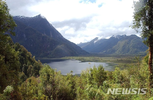 【푸말린 국립공원( 칠레 ) = AP/뉴시스】칠레 남부에 새로 지정된 푸말린 국립공원. 미첼 바첼레트 칠레 대통령은 1월 29일(현지시간) 미국의 생태보존 재단인 톰킨스 컨서베이션이 기증한 광대한 원시림 지역에 여러 개의 국립공원을 창설하는 합의안에 서명했다.&nbsp; 