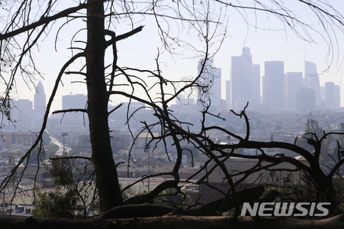 【로스앤젤레스 = AP/뉴시스】 지난해 말 산불로 초토화된 LA주변의 앙상한 숲 사이로 로스앤젤레스 도심의 스카이라인이 내다보이고 있다.&nbsp; 