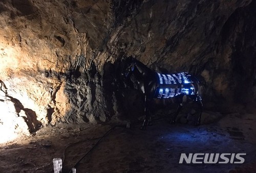 【서울=뉴시스】 평창미디어아트전, 광천동굴에서 전시하는 작품.