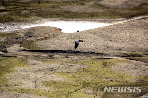 (사진=뉴시스 DB)