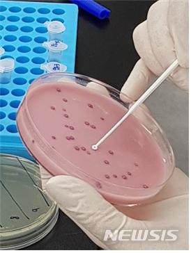 【대구=뉴시스】배소영 기자 = 대구의 한 대학병원에서 신생아들이 로타바이러스에 집단 감염됐다. 2018.09.27.(뉴시스DB) photo@newsis.com