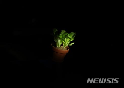 【서울=뉴시스】 강호연, Earth, 피그먼트 프린트, 42x59.4cm, 2018