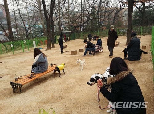 [종합]'개파라치' 무기한 보류…동물학대 처벌은 강화