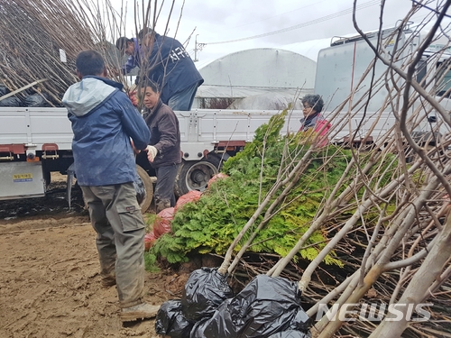 【옥천=뉴시스】이성기 기자 = 6일 오전 전국 최대 묘목산지인 충북 옥천군 이원면의 한 묘목 재배 농가가 시장에 출하할 묘목을 차량에 싣고 있다.2018.03.06(사진=옥천군 제공) sklee@newsis.com