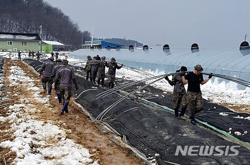 【대구=뉴시스】민경석 기자 = 육군 제50사단이 기습 폭설로 피해를 입은 대구·경북지역에서 복구 지원작업을 벌였다고 9일 밝혔다. 사진은 무너진 비닐하우스를 철거하는 장병들의 모습이다. 2018.03.09. (사진=육군 제50사단 제공) photo@newsis.com