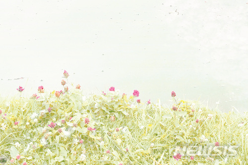 【서울=뉴시스】송영숙 사진전. 카셀, 독일, 2017. 