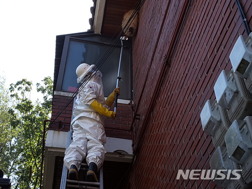 벌집제거 구조활동. (사진=경기도재난안전본부 제공)