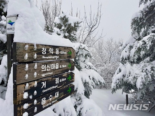 【산청=뉴시스】정경규 기자 = 경남 산청 지리산국립공원사무소는 지난 8일 세석평전으로 가는길에 40㎝의 폭설이 내려 장관을 연출하고 있다.2018.03.12.(사진=지리산국립공원사무소 제공) photo@newsis.com