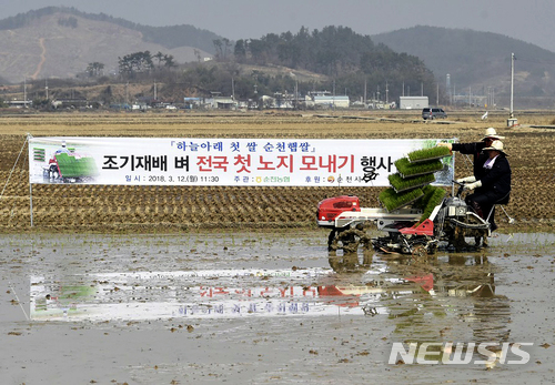 【순천=뉴시스】김석훈 기자 = 전남 순천시는 12일 해룡면 신대리 신성마을 백인기(51)농민의 0.3㏊ 논에서 농업인, 공무원, 농협관계자 등 100여명이 참석한 가운데 올해 전국 첫 노지 모내기를 실시했다고 밝혔다. 2018.03.12. (사진=순천시청 제공)  kim@newsis.com