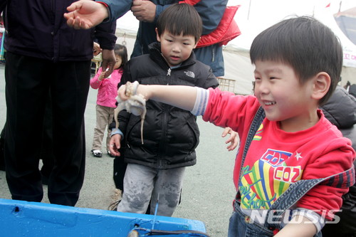 【서천=뉴시스】 서천 동백꽃 주꾸미 축제장 주꾸미 낚시 체험. (사진=서천군청 제공)