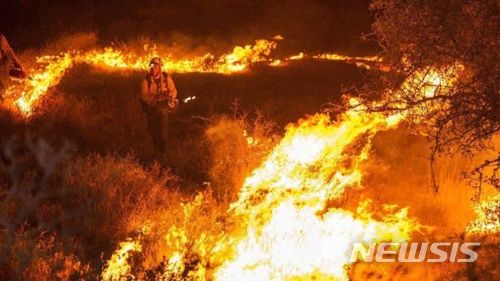 【서울=뉴시스】트레킹 코스로 인기가 높은 인도 남부 타밀 나두주 쿠랑기니 언덕에서 화재가 발생해 트레킹 중이던 최소 9명이 숨지고 6명이 불길 속에 갇혔다고 인도 관리들이 밝혔다. <사진 출처 : 영 BBC> 2018.3.12